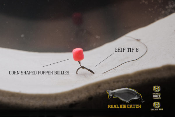 A WAFTERS AKTA | HorgászMánia friss horgász hírek A WAFTERS AKTA | HorgászMánia friss horgász hírek